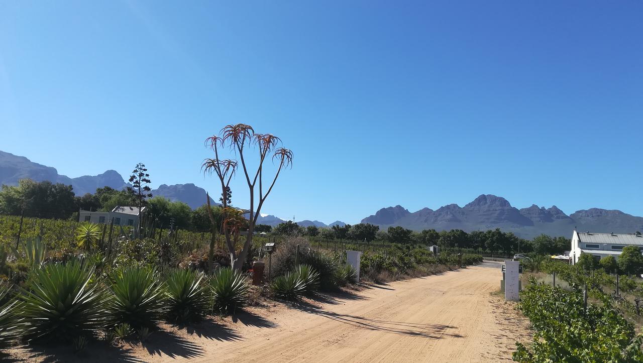Appartamento De Oude Schuur Municipalità locale di Municipalità locale di Stellenbosch Esterno foto
