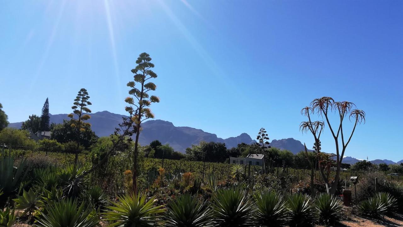 Appartamento De Oude Schuur Municipalità locale di Municipalità locale di Stellenbosch Esterno foto